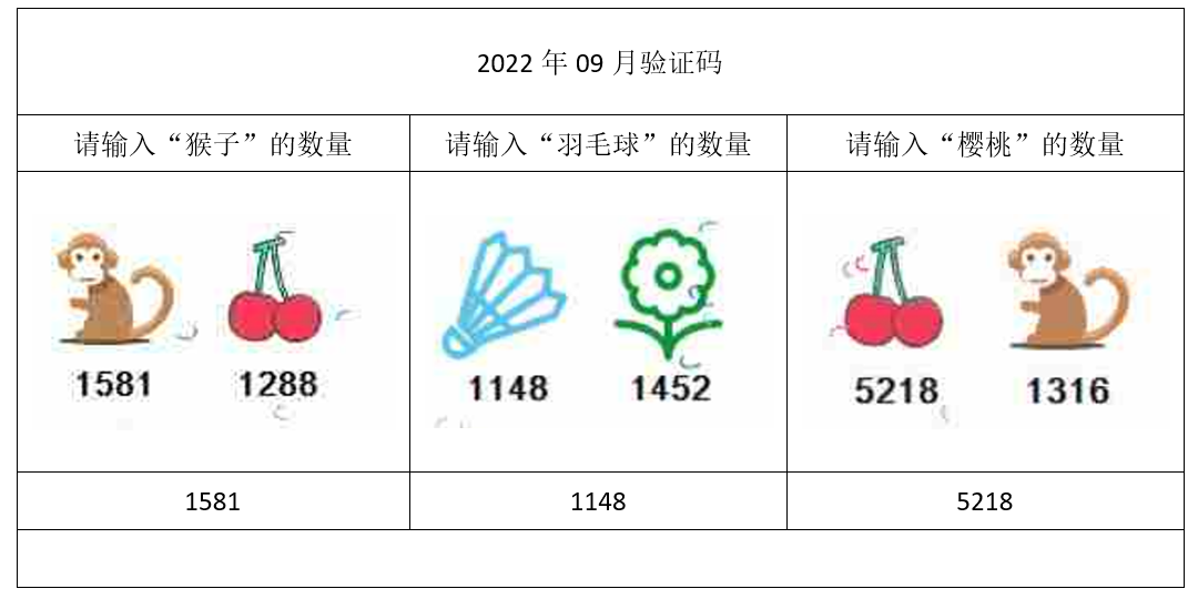 2022年09月验证码