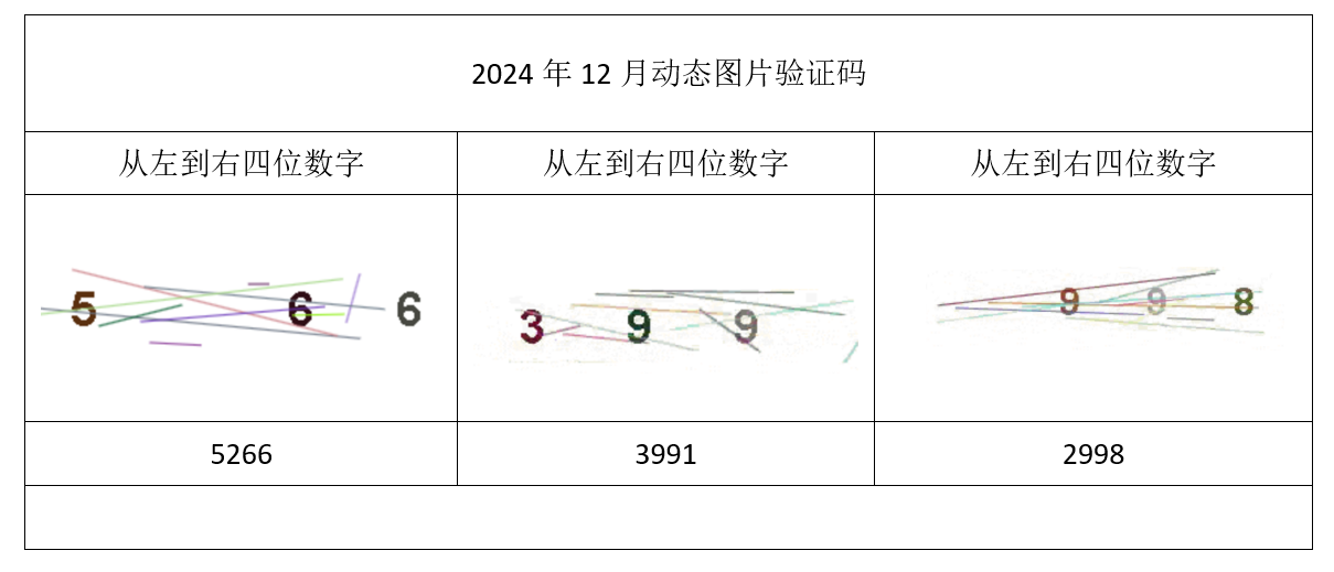 2024年11月验证码