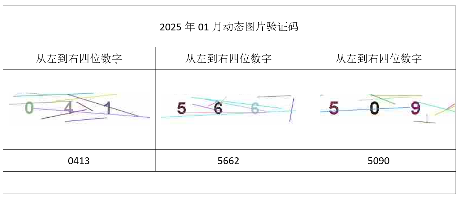 2025年01月验证码