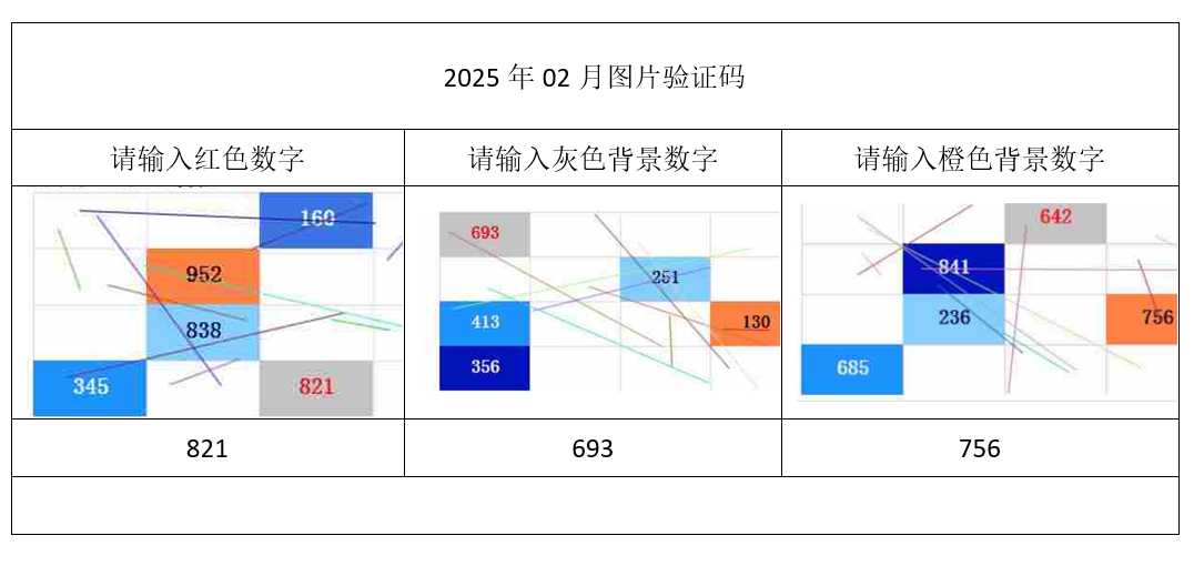 2025年02月验证码